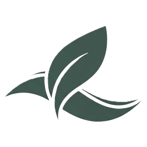 Active Mind Fit Body